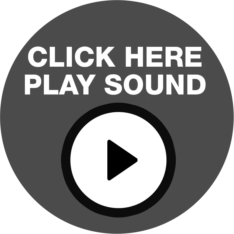 play-icon