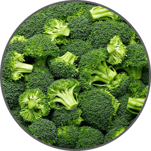Brocolli