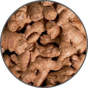 Ginger Root
