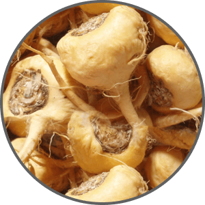 Maca Root