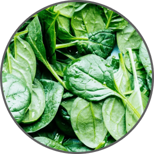 Spinach