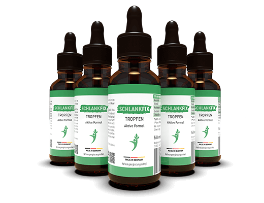 Schlankfix_x6_tr